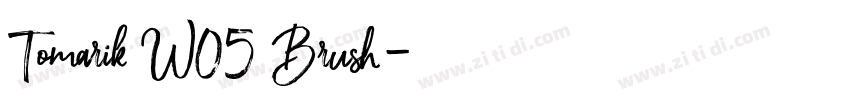 Tomarik W05 Brush字体转换 Tomarik W05 Brush字体转换